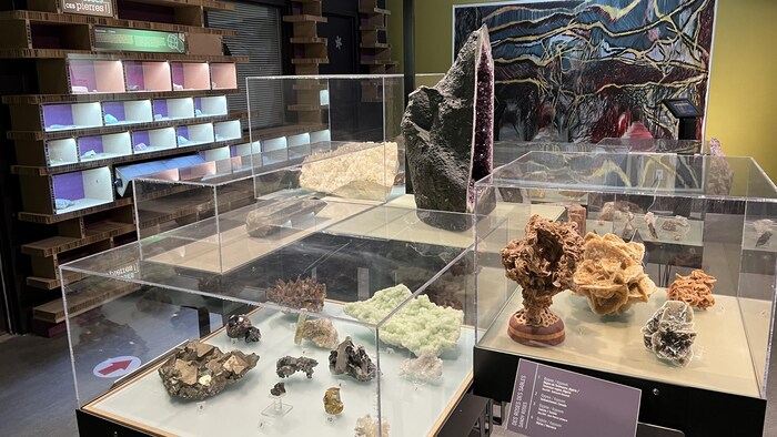 Toutes sortes de pierres et de roches sont exposées dans un présentoir vitré.