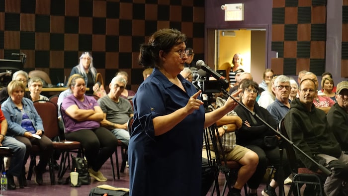 Nadine Huard s'adressant au conseil municipal. En arrière plan, d'autres citoyens. 