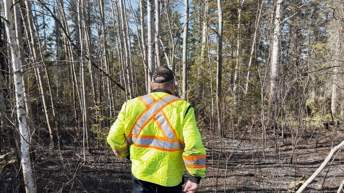 Le chef des pompiers de la Nation crie de Pimicikamak, Ray McKay, marche dans une zone boisée qui a été ravagée lors d’un feu le week-end dernier.