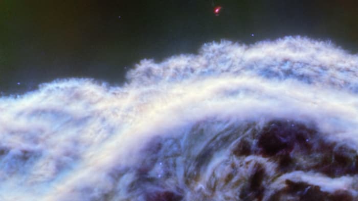 Acheter Porte Clés/marque En Forme De Tête Cheval 5 Cm Haut, Jeton Chien, Moderne ? Comparer Chez