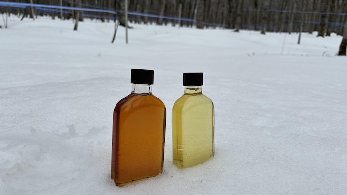 Une bouteille de sirop d'érable et une bouteille de nectar d'érable dans de la neige.