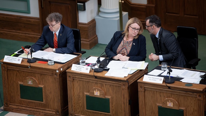 Des témoins participent à un débat spécial à la Chambre d'assemblée.