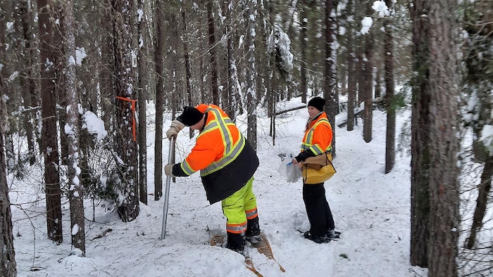 Deux personnes dans la forêt qui se servent d'un cylindre.
