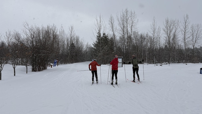 Trois fondeurs vus de dos sur une piste enneigée.