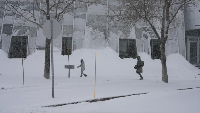 Des piétons au centre-ville de Rimouski marchent à côté d'un imposant banc de neige, près de la salle de spectacle.