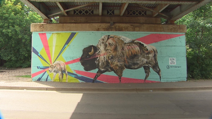 Murale avec couleurs et bisons