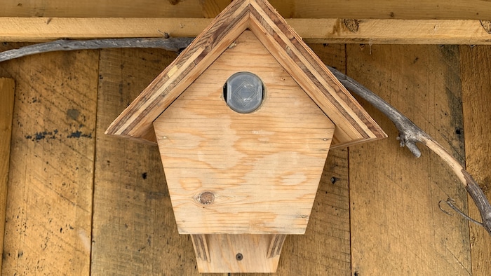 1 Cage à Oiseaux Carrée, Mangeoire à Oiseaux, Mangeoire Extérieure En