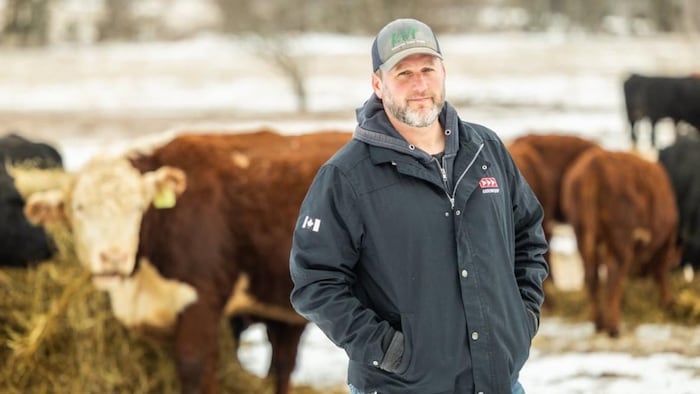 Nick Green dans un pâturage avec ses vaches durant l'hiver.
