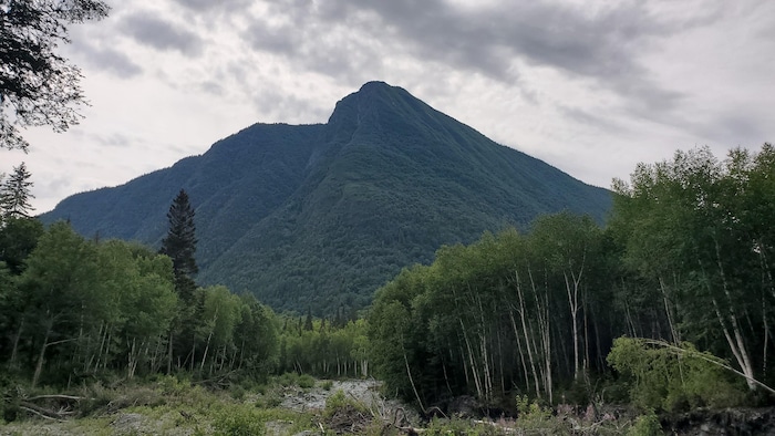 Le Nicol-Albert est un mont des Chic-Chocs dans la réserve faunique de Matane. Vue depuis le pied de la montagne.