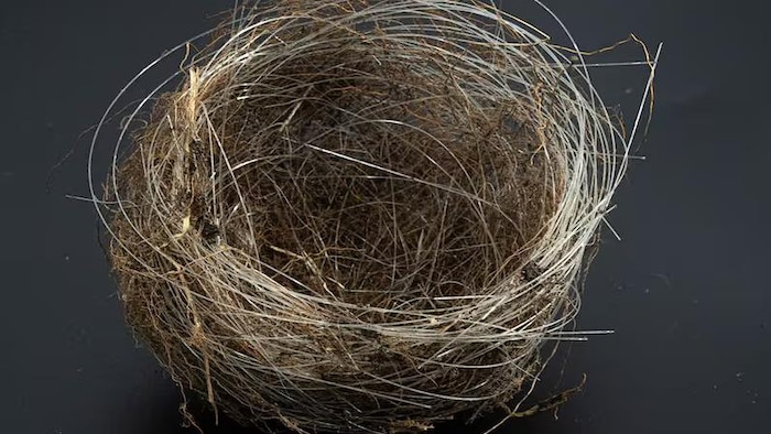 Un nid d'oiseau constitué de câbles de fibres optiques.