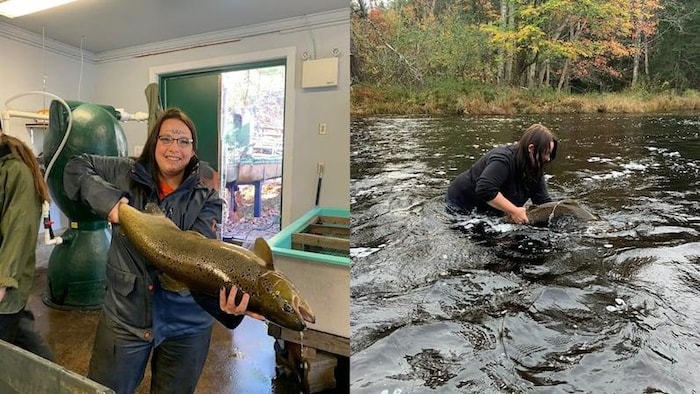Montage de deux photos de Nikki-Marie Lloyd, à gauche elle tient un saumon dans une écloserie et à droite elle le met dans une rivière.