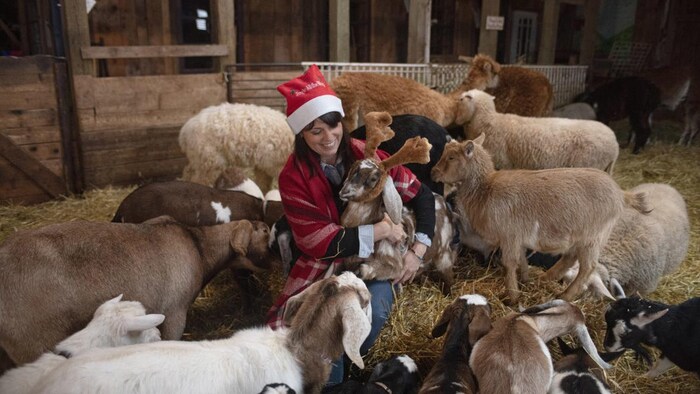 Une femme caresse des chèvres dans une ferme.