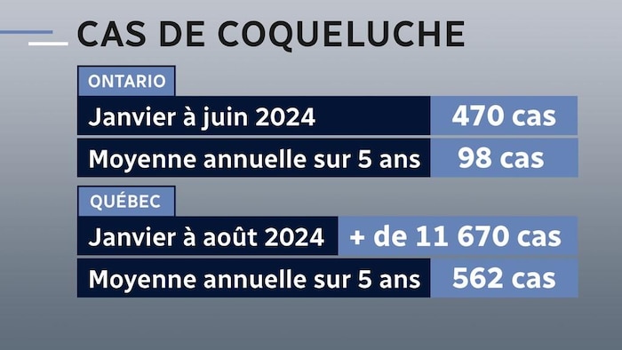 Infographie du nombre de cas de coqueluche en Ontario et au Québec.