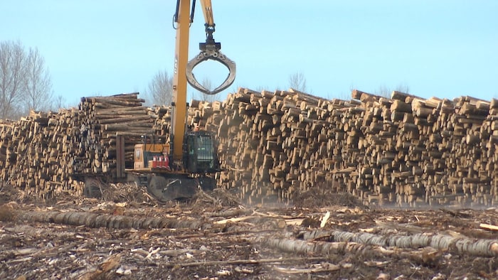 L'usine  Norbord West Fraser à La Sarre.
