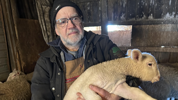 Un homme tient un agneau dans ses bras.