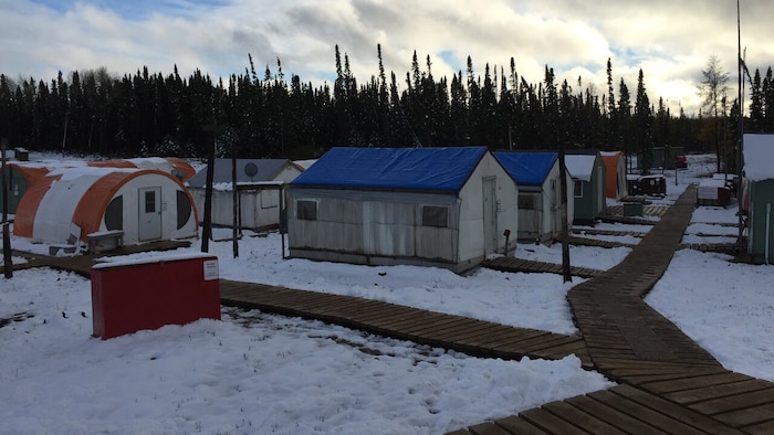 Des chemins en bois relient des cabanes de travailleurs dans le Grand Nord ontarien. Des épinettes entourent le camp.