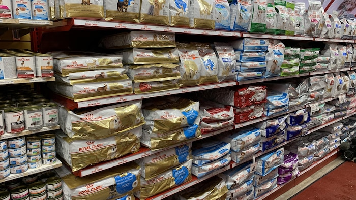 Des sacs de nourriture pour chiens dans une animalerie.