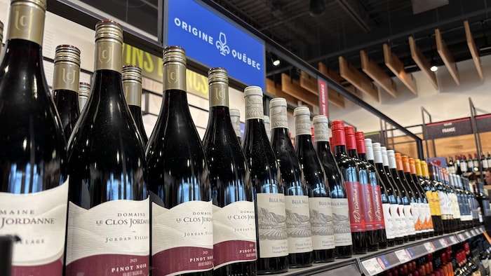On voit une série de vins d'origine du Québec sur une tablette de la SAQ.