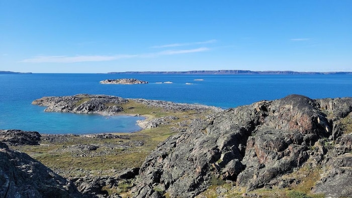 Arctic and Littoral Rocky, Nunavut, summer.
