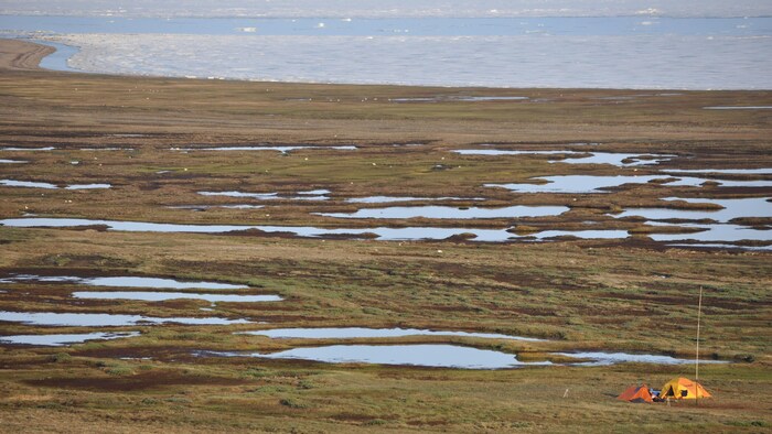 Deux tentes installées sur l'île Bylot, au Nunavut, en juillet 2011.