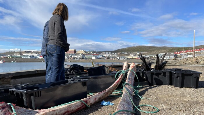 Deux résidents d'Iqaluit sélectionnent un morceau de baleine boréale, le dimanche 7 août 2022.