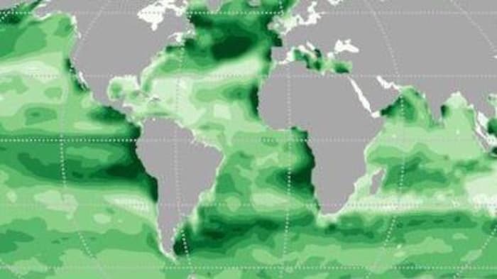 Carte mondiale de la distribution du flux de carbone organique.