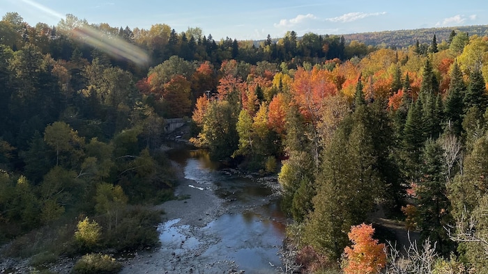 La rivière près de la chute Neigette, dans le Bas-Saint-Laurent.