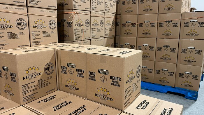 Des dizaines de boîtes d'œufs des Oeufs Richard sont prêtes à être livrées.