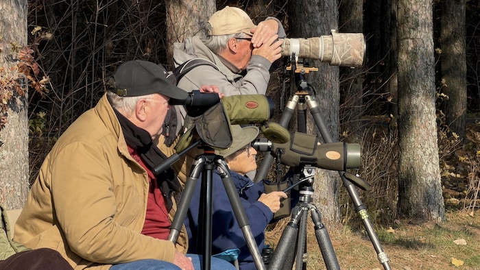 Alain Daigle observe l'oie des neiges avec d'autres observateurs.