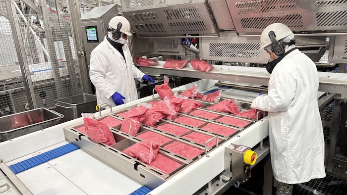 Des travailleurs préparent une mixture dans une machine.