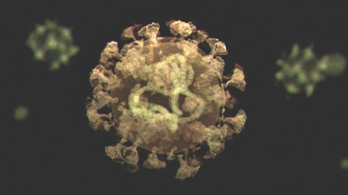 Un coronavirus.