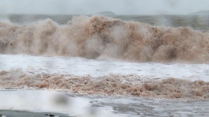 Neige, vent et onde de tempête au Nouveau-Brunswick | Radio-Canada