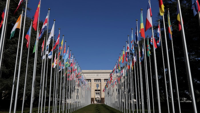 Une allée de drapeaux de différents pays menant à un bâtiment onusien.