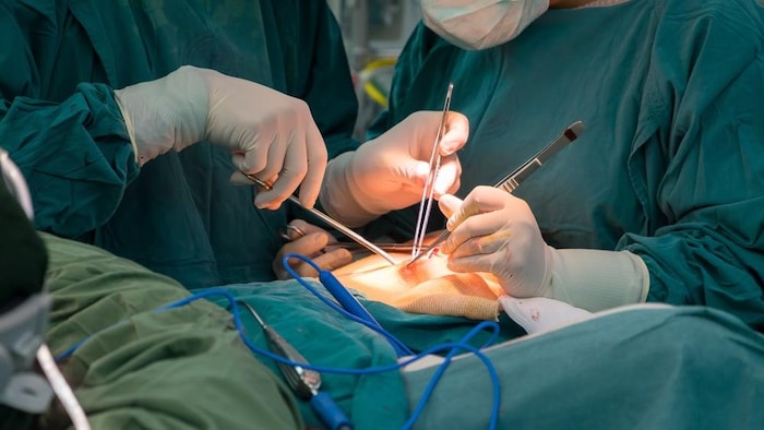 Los médicos realizan una operación y tienen herramientas en sus manos. 