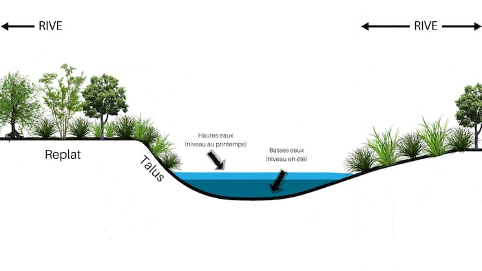 Un schéma montre une rivière bordée d'arbustes et d'arbres.
