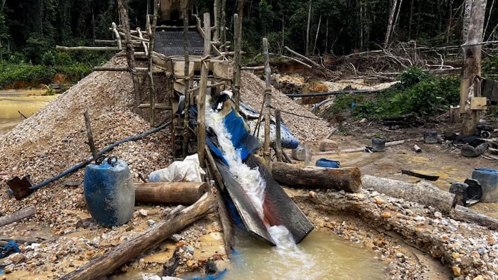 Les mines d'or illégales de la jungle colombienne dans le viseur