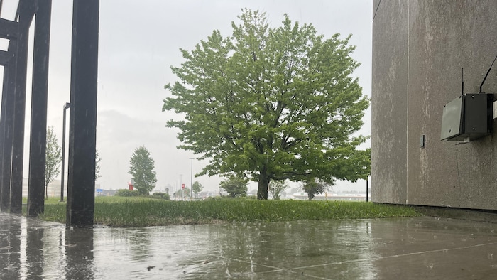 La pluie près d'un bâtiment lors d'une averse.