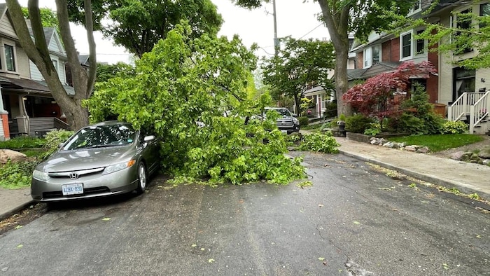 Un arbre brisé sur une voiture à Toronto.