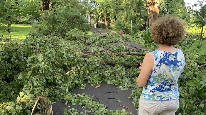 Resident near the Braves Park, Louise Blouin came to see the damage caused by the violent thunderstorms that occurred on the evening of the national holiday. hard awakening aftermath violent thunderstorms