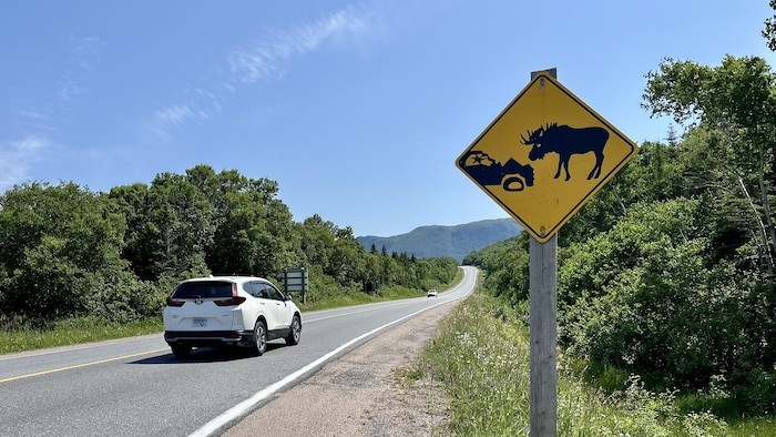 Une pancarte jaune en forme de losange avec un pictogramme représentant un orignal et une automobile endommagée.