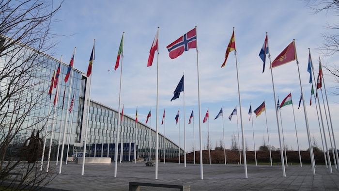 Les drapeaux des pays membres devant un immeuble.