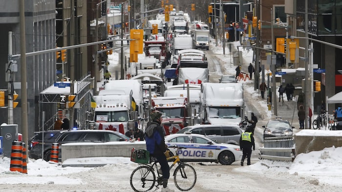 A cyclist stops in front of trucks blocked on Metcalfe Street in Ottawa on Feb. 4.