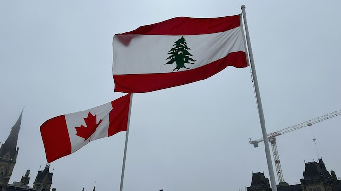 Deux drapeaux avec des édifices et une grue en arrière-plan.