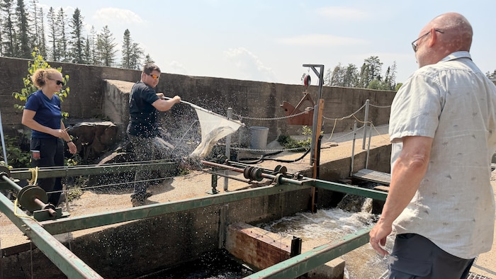 Trois personnes autour d'une écluse, l'une d'entre elles pêche un poisson au filet.