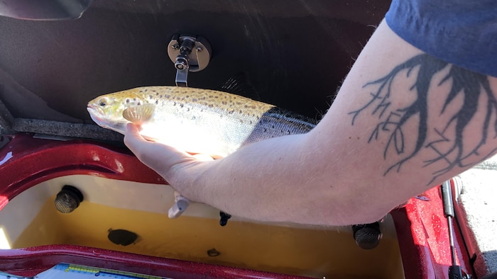 Un pêcheur montre une ouananiche qu'il vient tout juste de capturer.