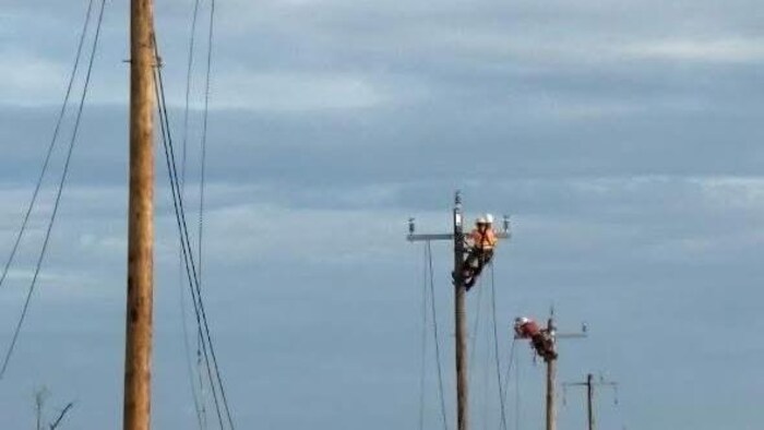 Trois hommes sont en haut de poteaux d'électricité.