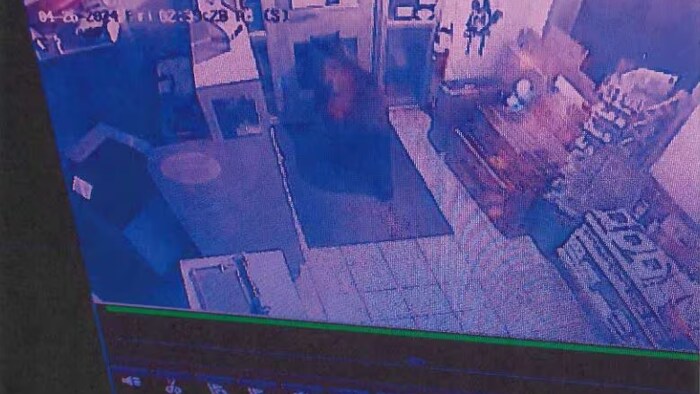 Les images de sécurité montrent un ours noir regardant par la porte arrière d'un magasin.