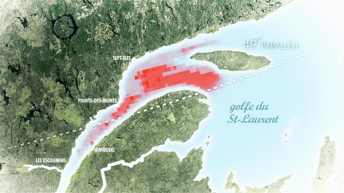 Carte montrant la zone hypoxique du Saint-Laurent.