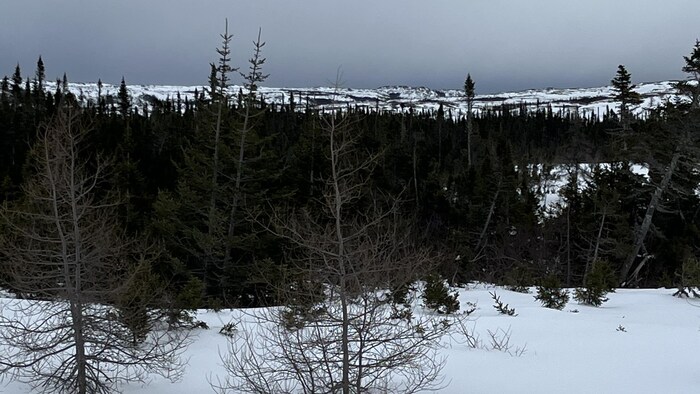 La nature de la Basse Côte-Nord en hiver.