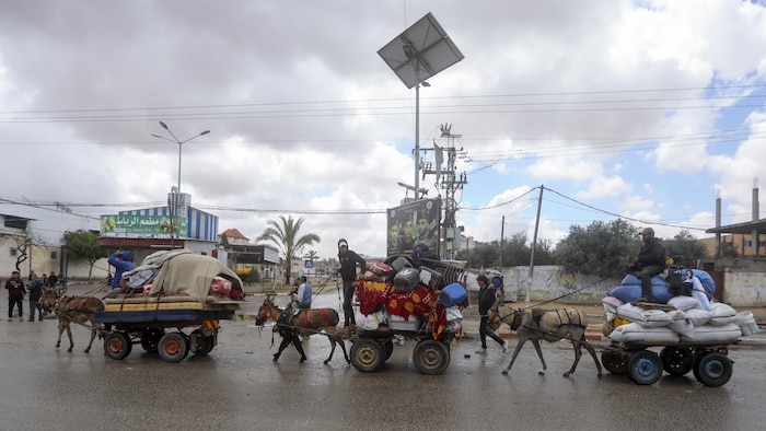 Des Palestiniens, montés sur des chariots recouverts de biens et de sacs et tirés par des ânes, traversent une ville.